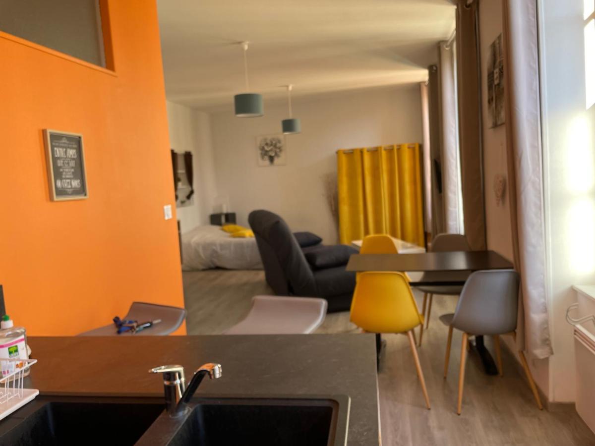 Millau Superbe Studio 35M2 Centre Ville Calme Et Ajoure Εξωτερικό φωτογραφία